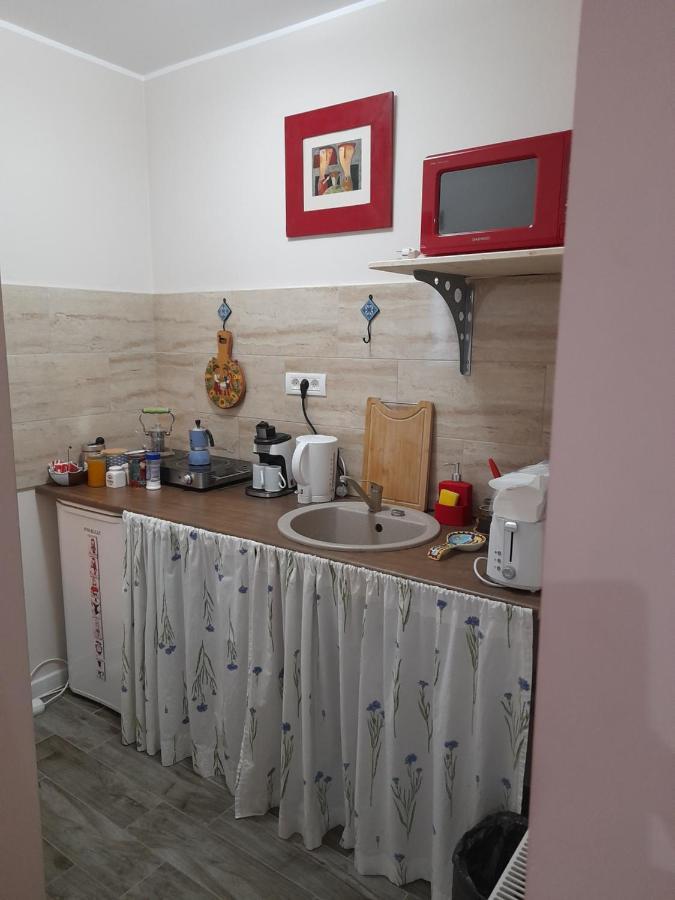 Skyline Central Apartment Тимишоара Экстерьер фото