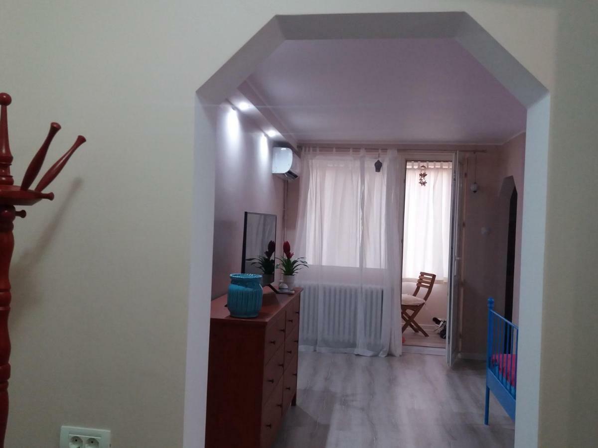 Skyline Central Apartment Тимишоара Экстерьер фото
