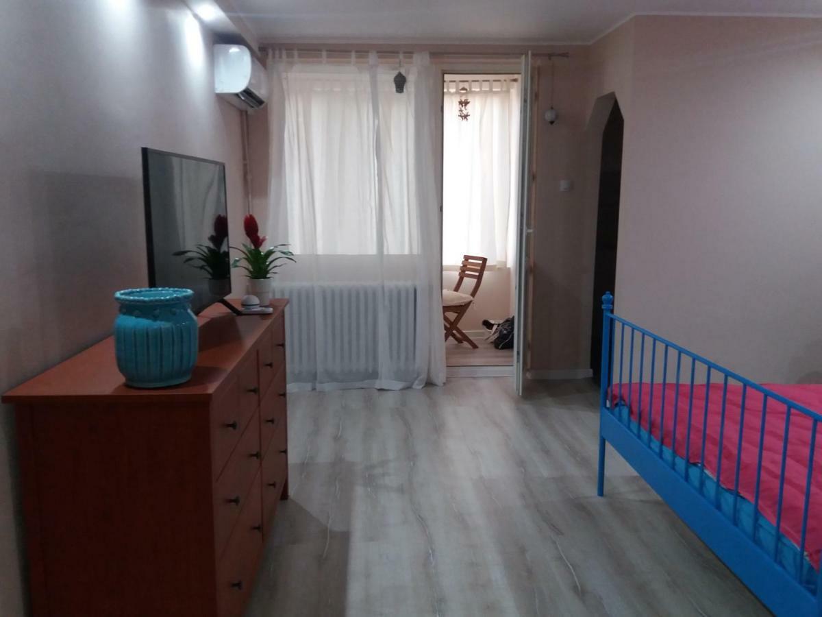 Skyline Central Apartment Тимишоара Экстерьер фото