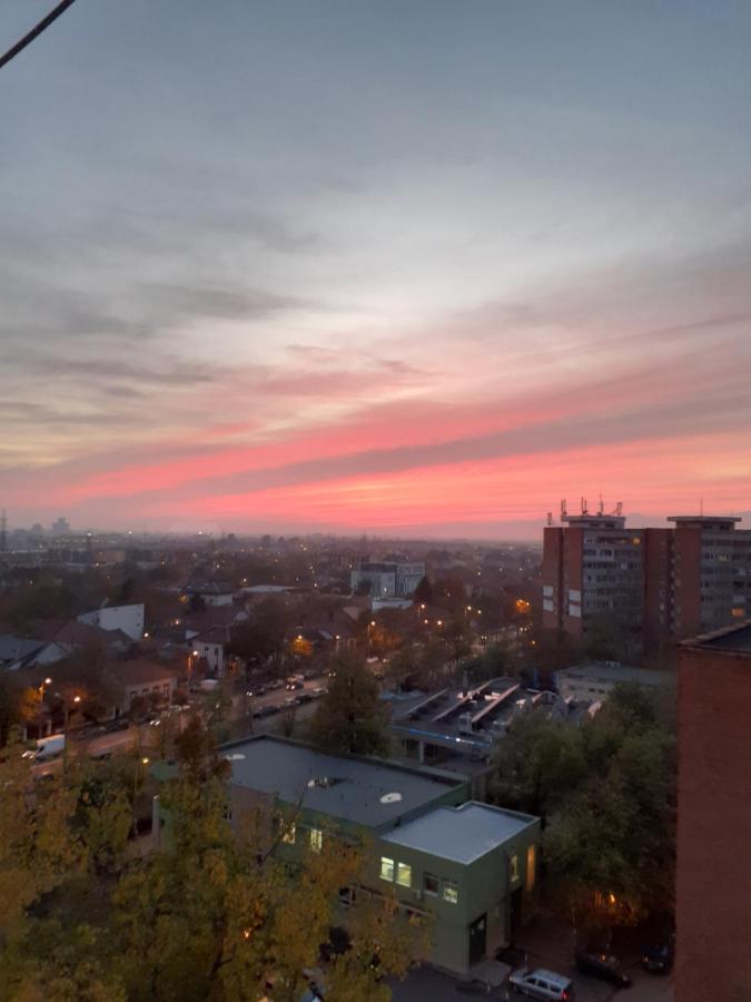 Skyline Central Apartment Тимишоара Экстерьер фото